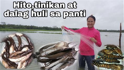 kitid in English .